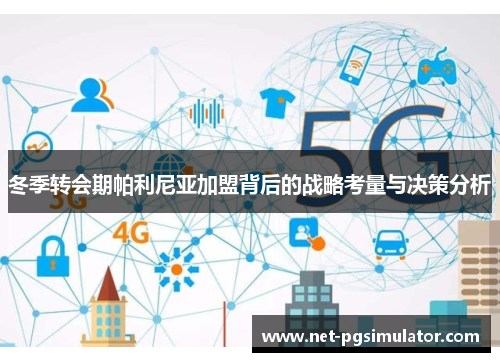 冬季转会期帕利尼亚加盟背后的战略考量与决策分析