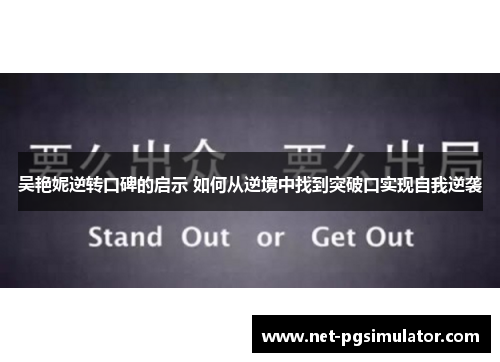 吴艳妮逆转口碑的启示 如何从逆境中找到突破口实现自我逆袭