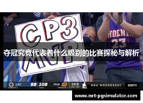 夺冠究竟代表着什么级别的比赛探秘与解析