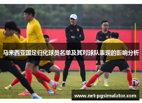 马来西亚国足归化球员名单及其对球队表现的影响分析