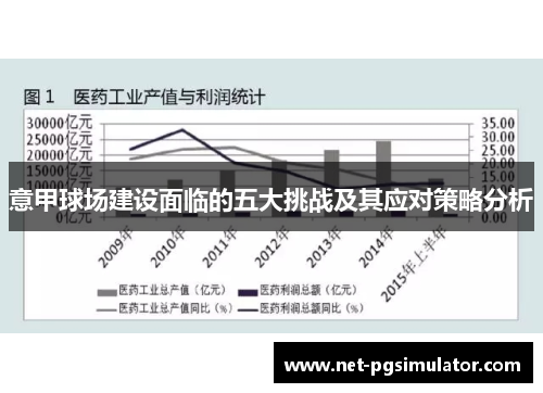 意甲球场建设面临的五大挑战及其应对策略分析